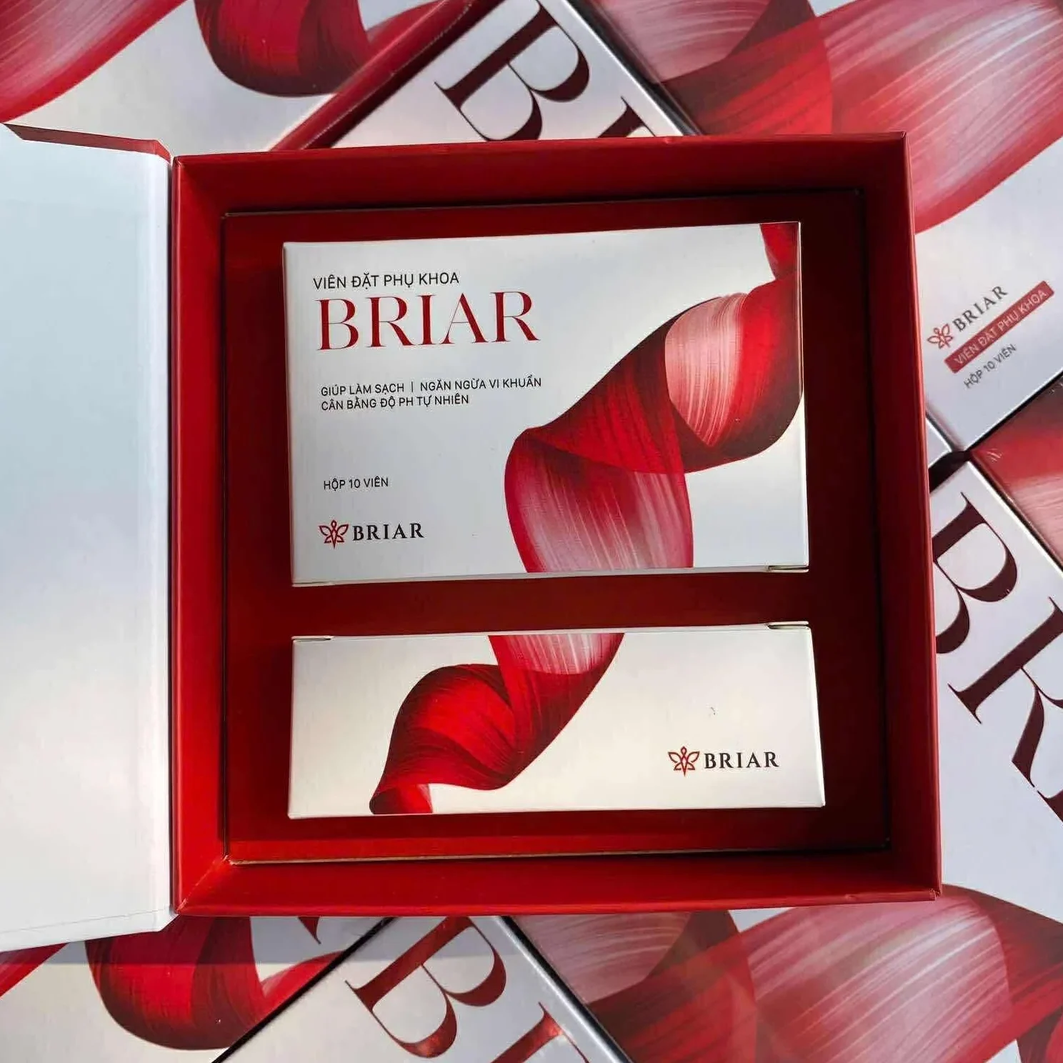 briar-moi (2)