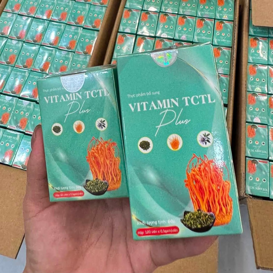 vien-tctl-plus (12)
