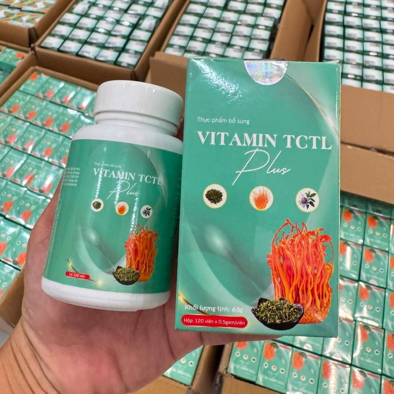 vien-tctl-plus (15)